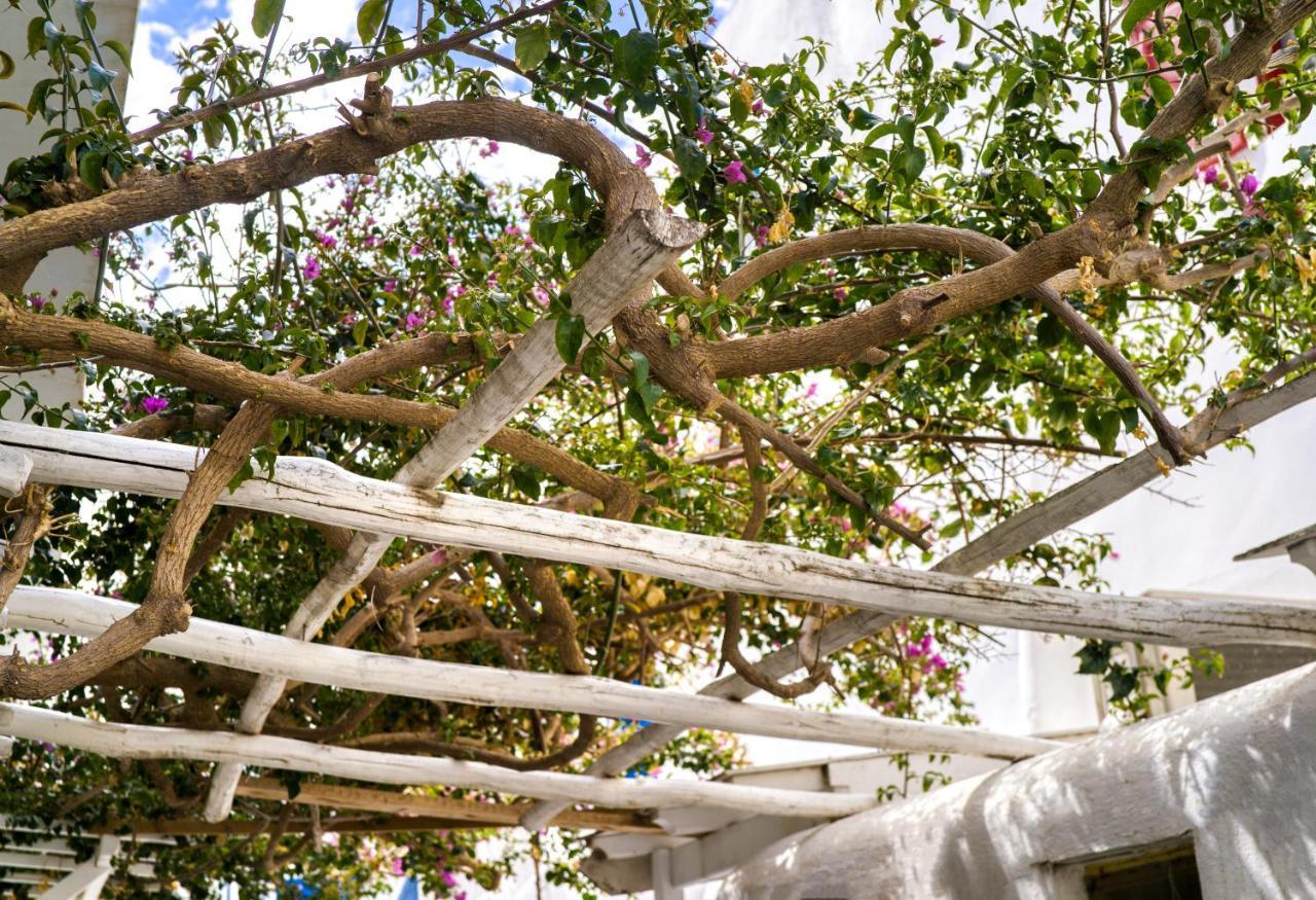 K&K Residence @Mykonos Town Exterior foto